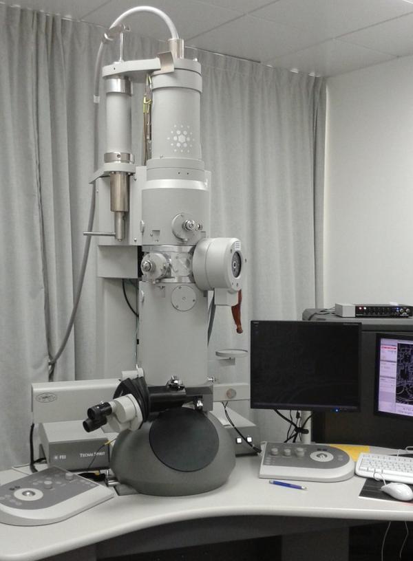 FEI Techni Transmission Electron Microscope